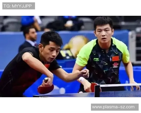 樊振东与张继科的巅峰对决乒乓球赛场上的传奇之战与未来展望